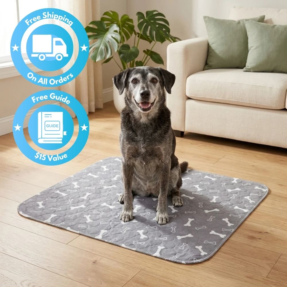 Leak-Free Care Pad