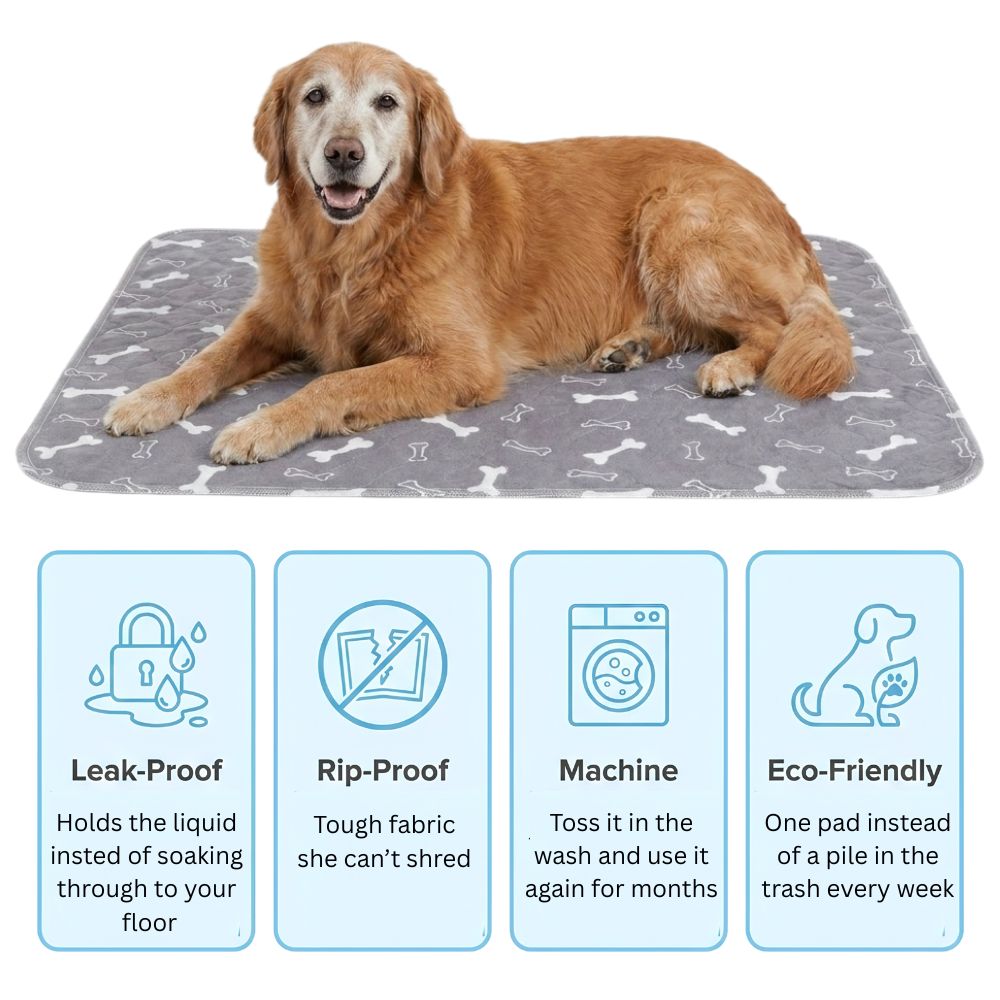 Leak-Free Care Pad