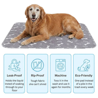 Leak-Free Care Pad